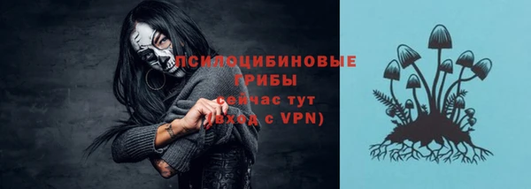 трава Магадан