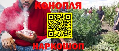 Альфа ПВП Апрелевка