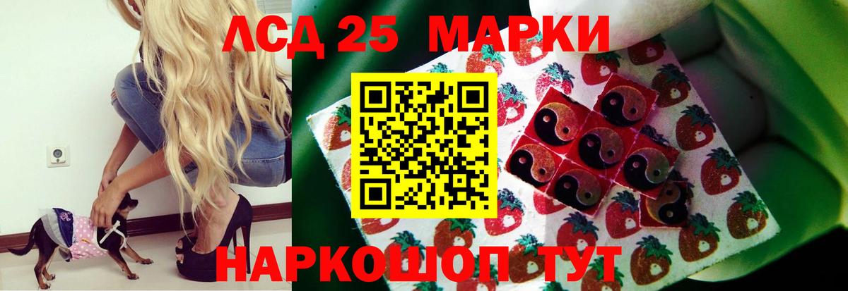 ЛСД экстази кислота  Вход с VPN  Братск  Лсд 25 экстази кислота 