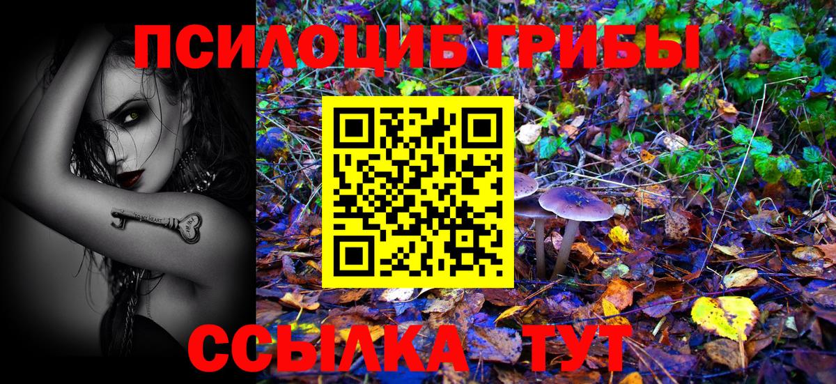 Псилоцибиновые грибы прущие грибы  Вход с VPN  Галлюциногенные грибы MAGIC MUSHROOMS  Братск 