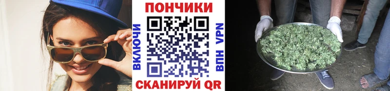 Конопля сатива Братск